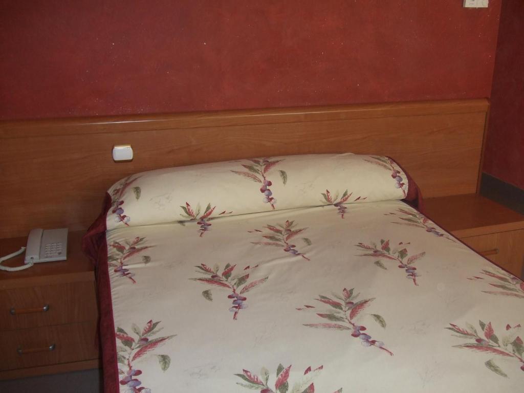 Hotel Vadorrey Roa Room photo